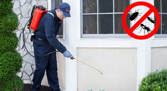 İzkent Hamam Böceği İlaçlama böcek ilaçlama ve haşere kontrolü — ilaclama-tr.com